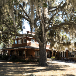 Live Oak Plantation