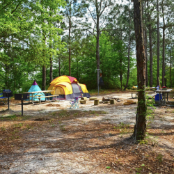 Reed Bingham State Park - tents