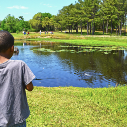 Reed Bingham State Park lake