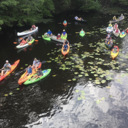 Kayaks in Reed Bingham State Park