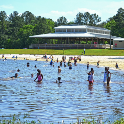 Lake, Reed Bingham State Park