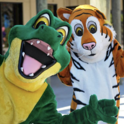 Wild Adventures park