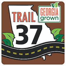 Trail 37