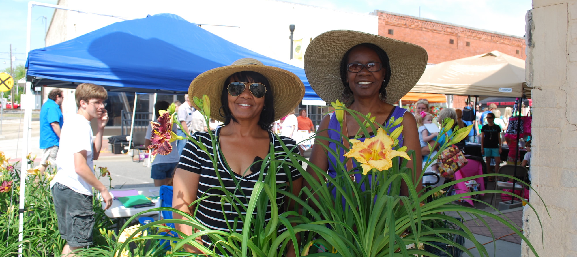 Daylily Festival