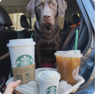 Starbucks