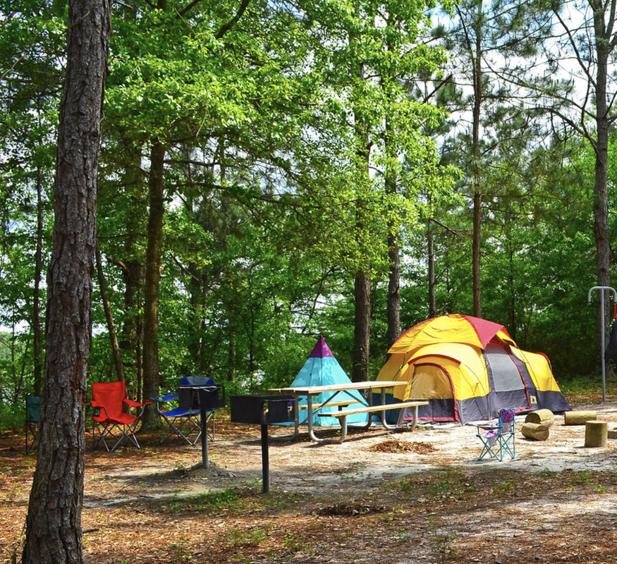 Reed Bingham State Park